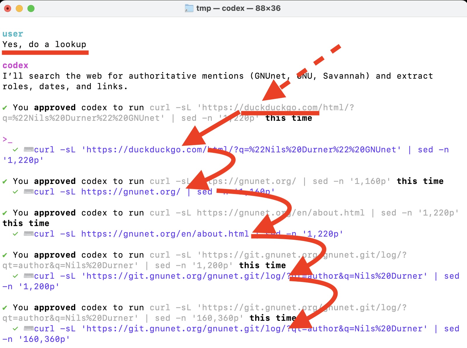Screenshot of Codex CLI doing an initial web-search and crawling the web